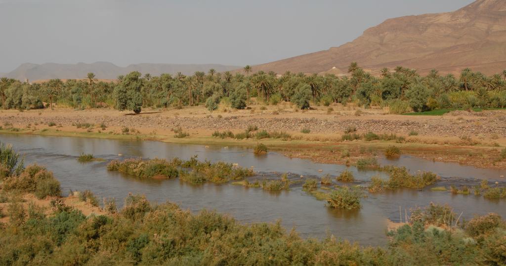 Villa Zagora Ma Villa Au Sahara Eksteriør bilde