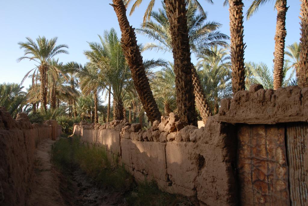 Villa Zagora Ma Villa Au Sahara Eksteriør bilde