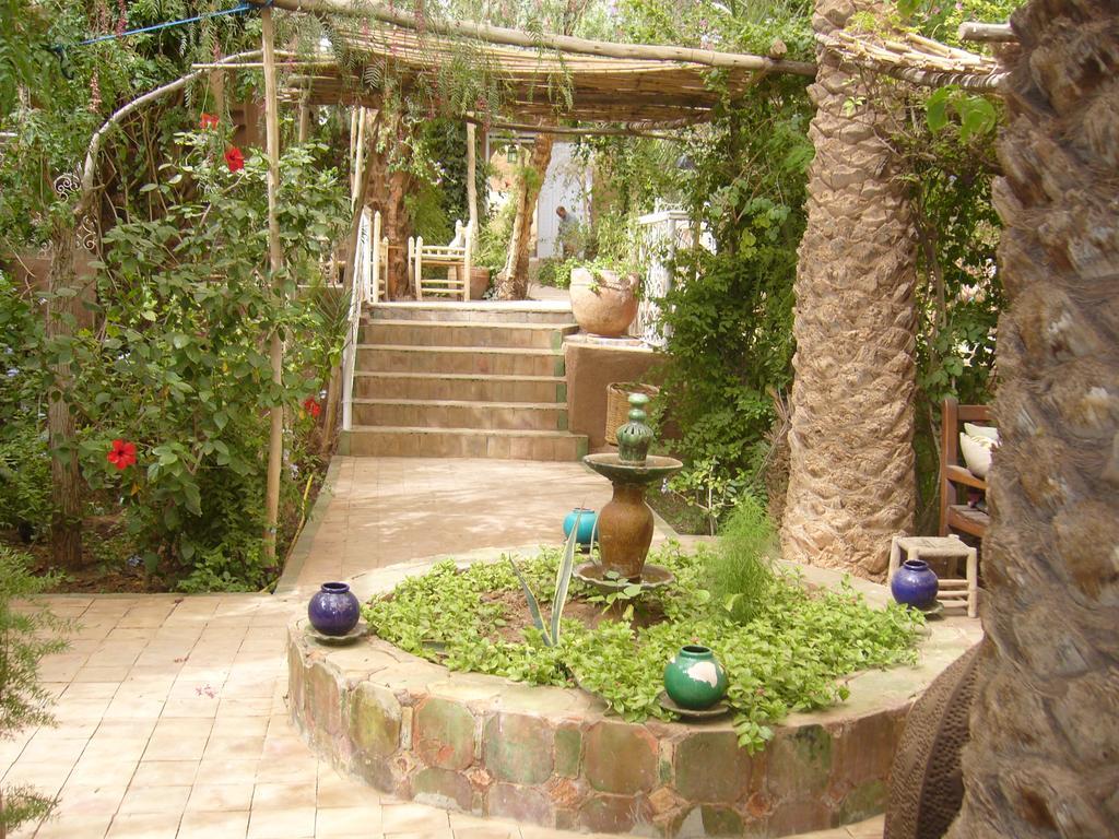 Villa Zagora Ma Villa Au Sahara Eksteriør bilde