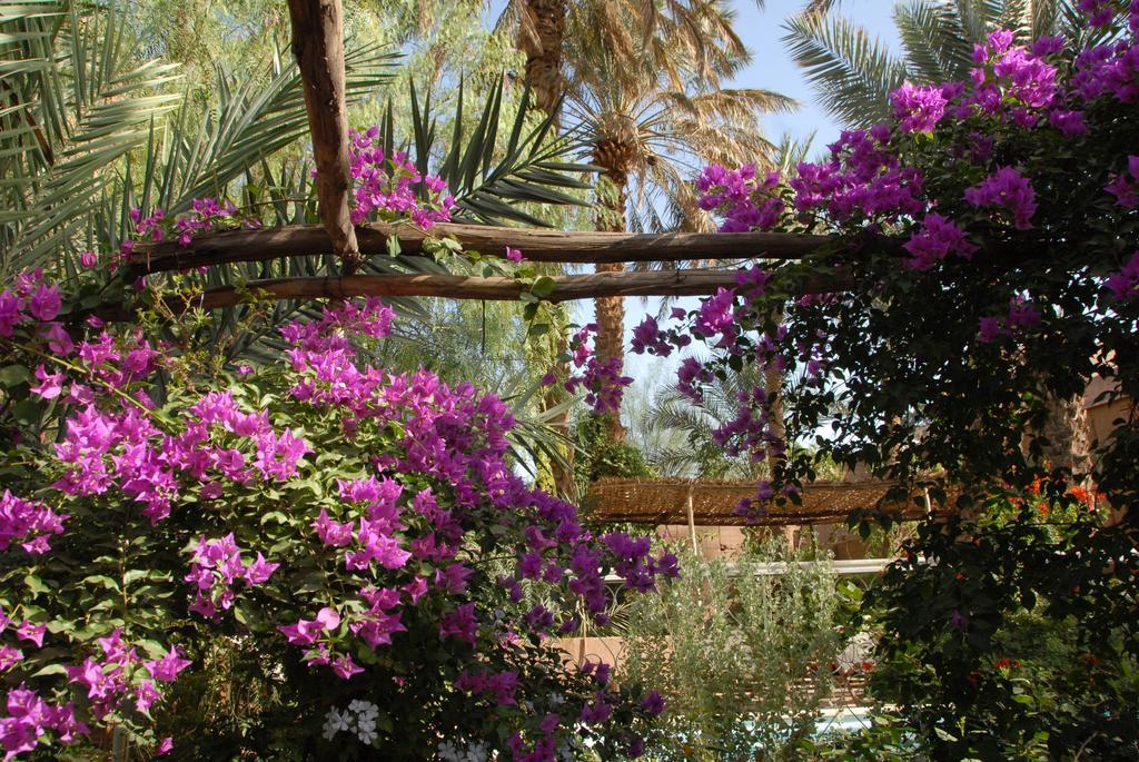 Villa Zagora Ma Villa Au Sahara Eksteriør bilde