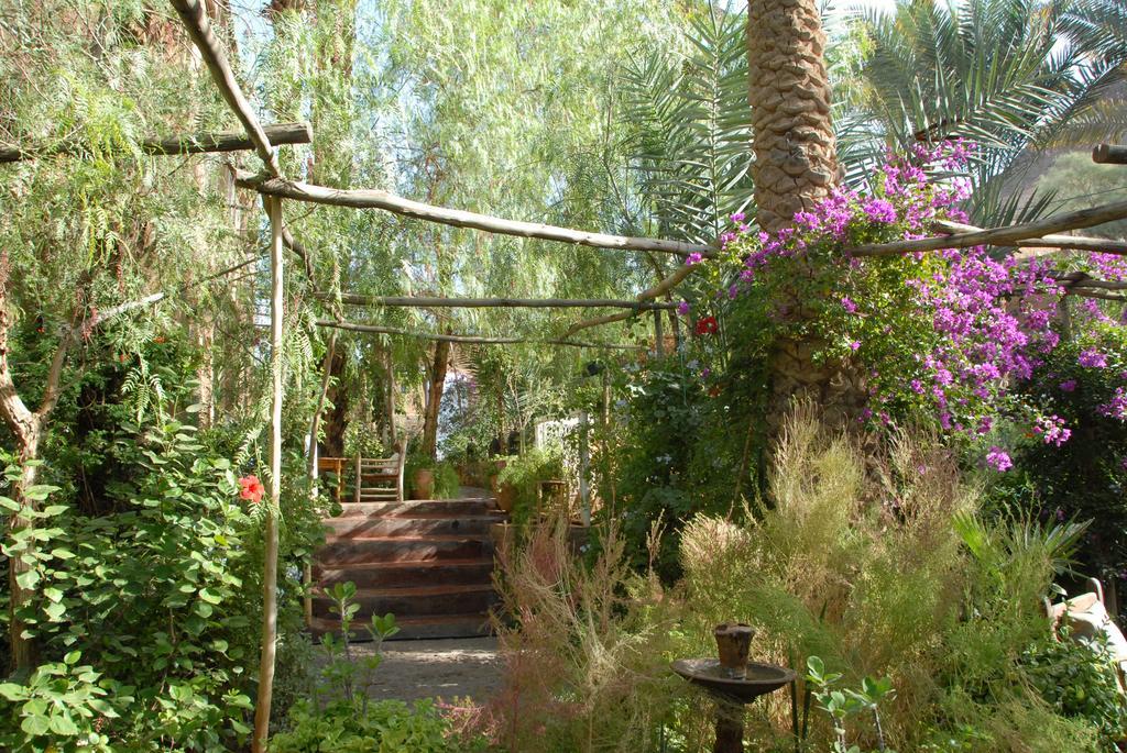 Villa Zagora Ma Villa Au Sahara Eksteriør bilde