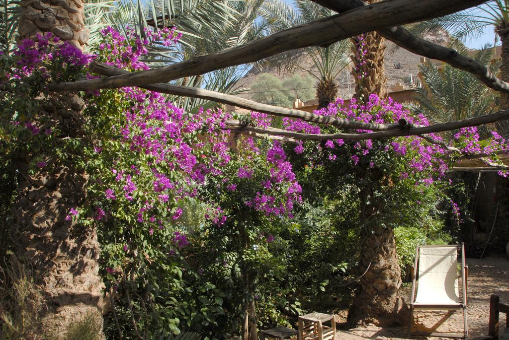 Villa Zagora Ma Villa Au Sahara Eksteriør bilde