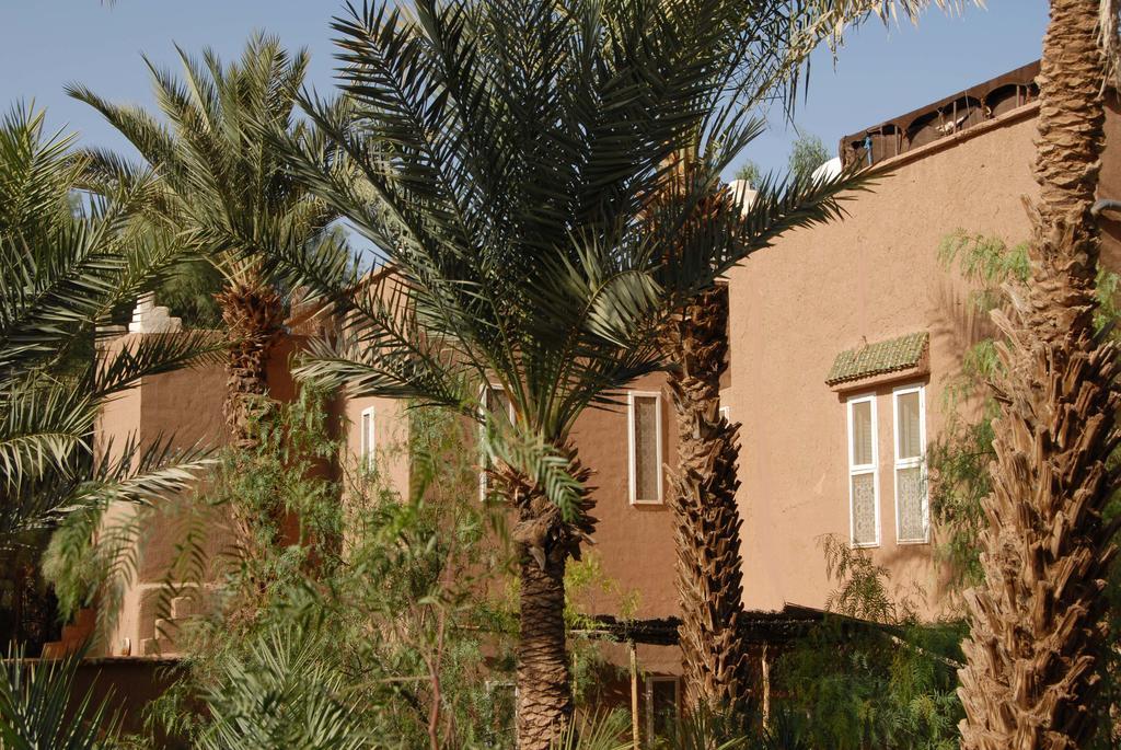 Villa Zagora Ma Villa Au Sahara Eksteriør bilde