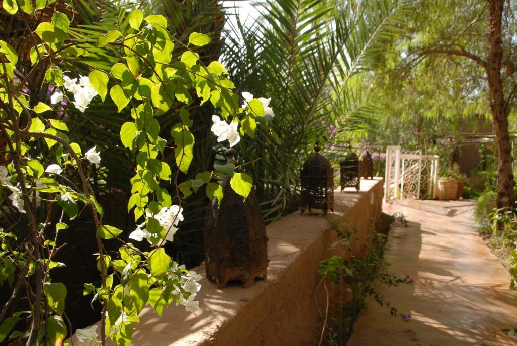 Villa Zagora Ma Villa Au Sahara Eksteriør bilde