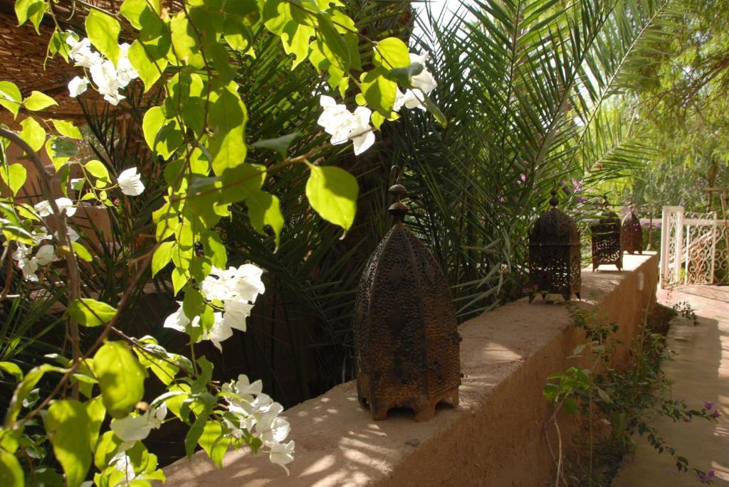 Villa Zagora Ma Villa Au Sahara Eksteriør bilde