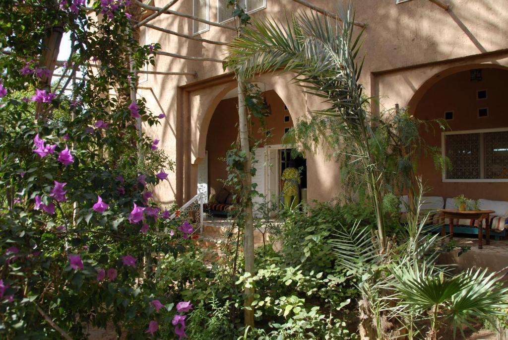 Villa Zagora Ma Villa Au Sahara Eksteriør bilde