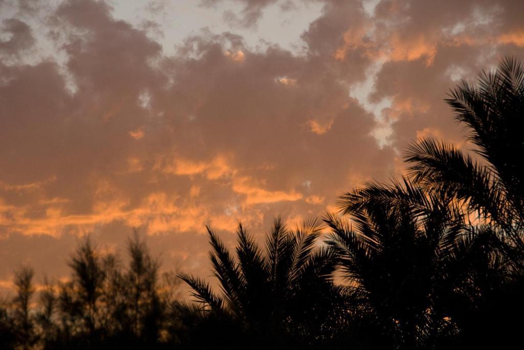 Villa Zagora Ma Villa Au Sahara Eksteriør bilde