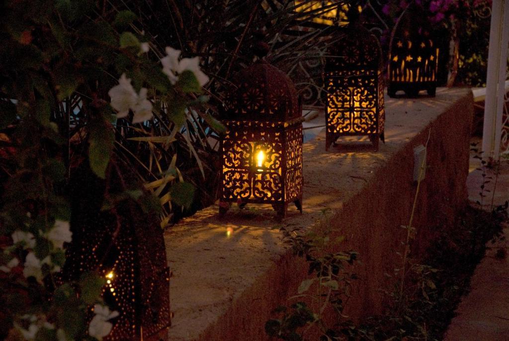 Villa Zagora Ma Villa Au Sahara Eksteriør bilde